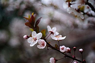 TGA 2022最受欢迎预告片 《FF16》竟未上榜